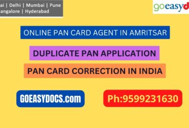 Pan Card Agent Service In AMRITSAR 9599231630