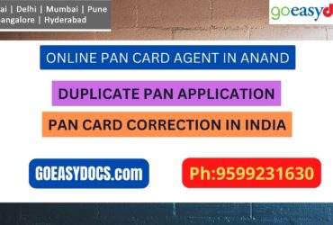 Pan Card Agent Service In ANAND 9599231630