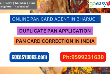 Pan Card Agent Service In BHARUCH 9599231630