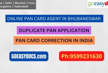 Pan Card Agent Service In BHUBANESWAR 9599231630