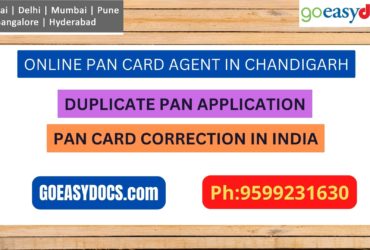 Pan Card Agent Service In CHANDIGARH 9599231630