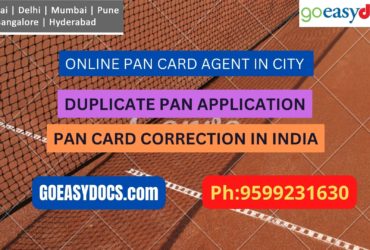 Pan Card Agent Service In CITY 9599231630