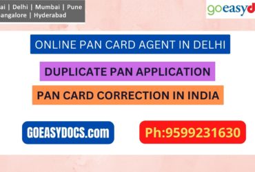 Pan Card Agent Service In DELHI 9599231630