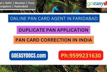 Pan Card Agent Service In FARIDABAD 9599231630