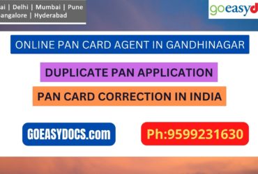 Pan Card Agent Service In GANDHINAGAR 9599231630