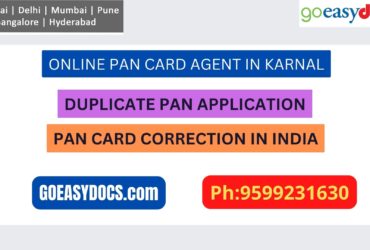 Pan Card Agent Service In KARNAL 9599231630