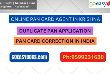 Pan Card Agent Service In KRISHNA 9599231630