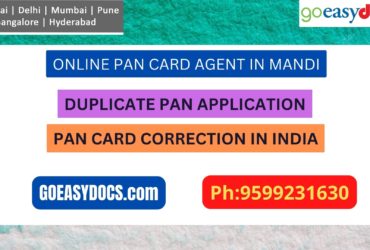 Pan Card Agent Service In MANDI 9599231630