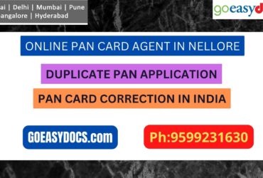 Pan Card Agent Service In NELLORE 9599231630