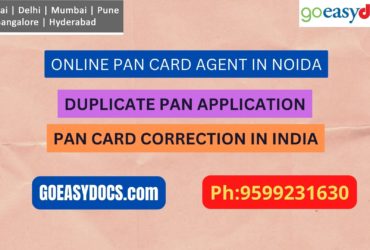 Pan Card Agent Service In NOIDA 9599231630