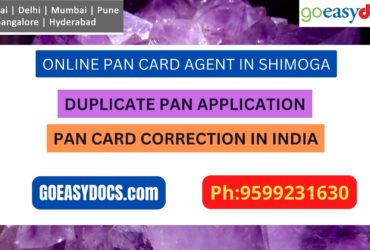 Pan Card Agent Service In SHIMOGA 9599231630