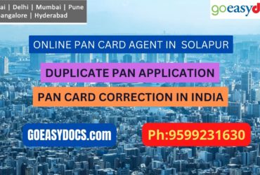 Pan Card Agent Service In SOLAPUR 9599231630