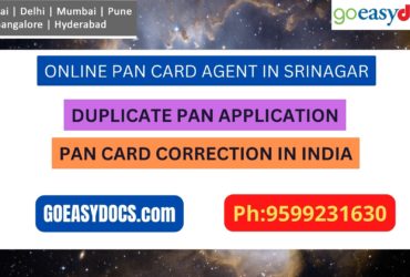 Pan Card Agent Service In SRINAGAR 9599231630