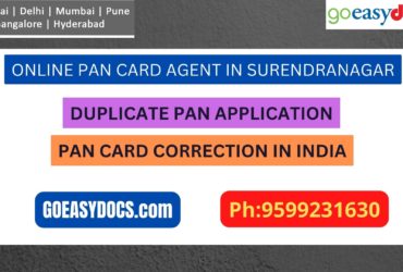 Pan Card Agent Service In SURENDRANAGAR 9599231630