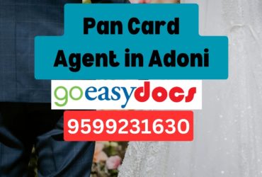 Pan Card Agent Consultant in Adoni 8851415812