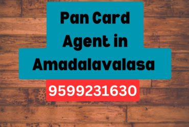 Pan Card Agent Consultant in Amadalavalasa  8851415812