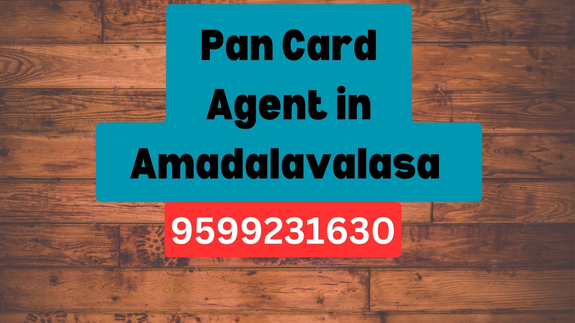 Pan Card Agent Consultant in Amadalavalasa  8851415812