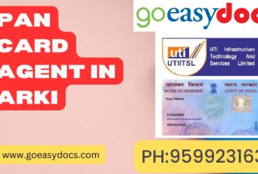 Pan Card Agent Consultant in Arki 8851415812