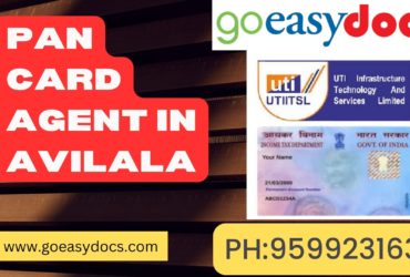 Pan Card Agent Consultant in Avilala 8851415812