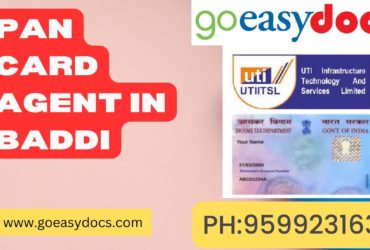 Pan Card Agent Consultant in Baddi 8851415812