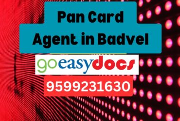 Pan Card Agent Consultant in Badvel  8851415812