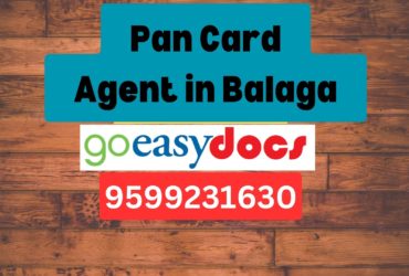 Pan Card Agent Consultant in Balaga 8851415812