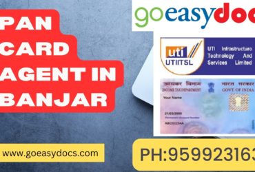 Pan Card Agent Consultant in Banjar 8851415812