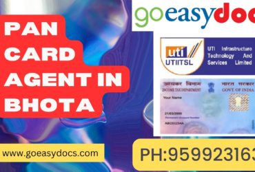 Pan Card Agent Consultant in Bhota 8851415812