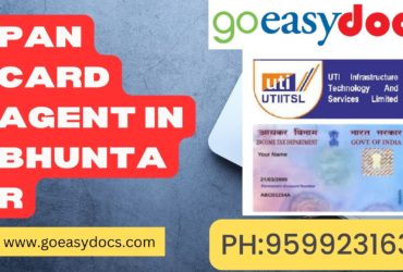 Pan Card Agent Consultant in Bhuntar 8851415812