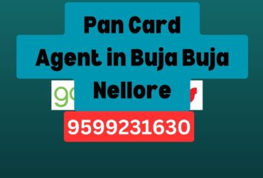 an Card Agent Consultant in Buja Buja Nellore 8851415812