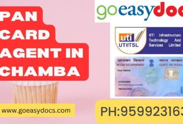 Pan Card Agent Consultant in Chamba 8851415812