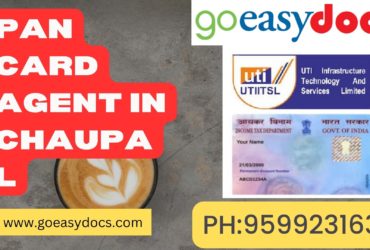 Pan Card Agent Consultant in Chaupal 8851415812