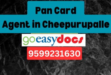 Pan Card Agent Consultant in Cheepurupalle  8851415812