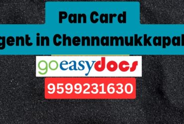 Pan Card Agent Consultant in Chennamukkapalle  8851415812