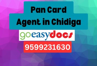 Pan Card Agent Consultant in Chidiga 8851415812