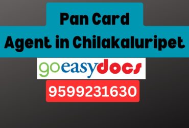 Pan Card Agent Consultant in Chilakaluripet 8851415812