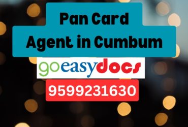 Pan Card Agent Consultant in Cumbum 8851415812