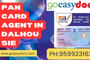 Pan Card Agent Consultant in Dalhousie 8851415812