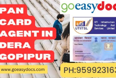 Pan Card Agent Consultant in Dera Gopipur 8851415812