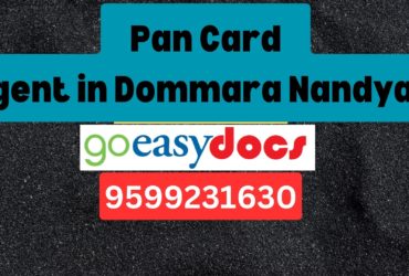 Pan Card Agent Consultant in Dommara Nandyala  8851415812