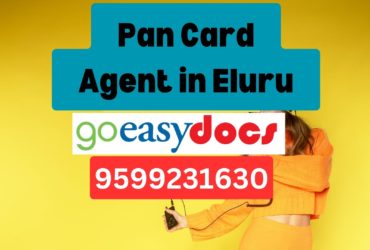 Pan Card Agent Consultant in Eluru 8851415812