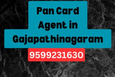 Pan Card Agent Consultant in Gajapathinagaram 8851415812