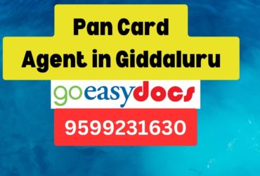 Pan Card Agent Consultant in Giddaluru 8851415812