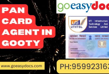 Pan Card Agent Consultant in Gooty 8851415812