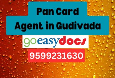 Pan Card Agent Consultant in Gudivada 8851415812