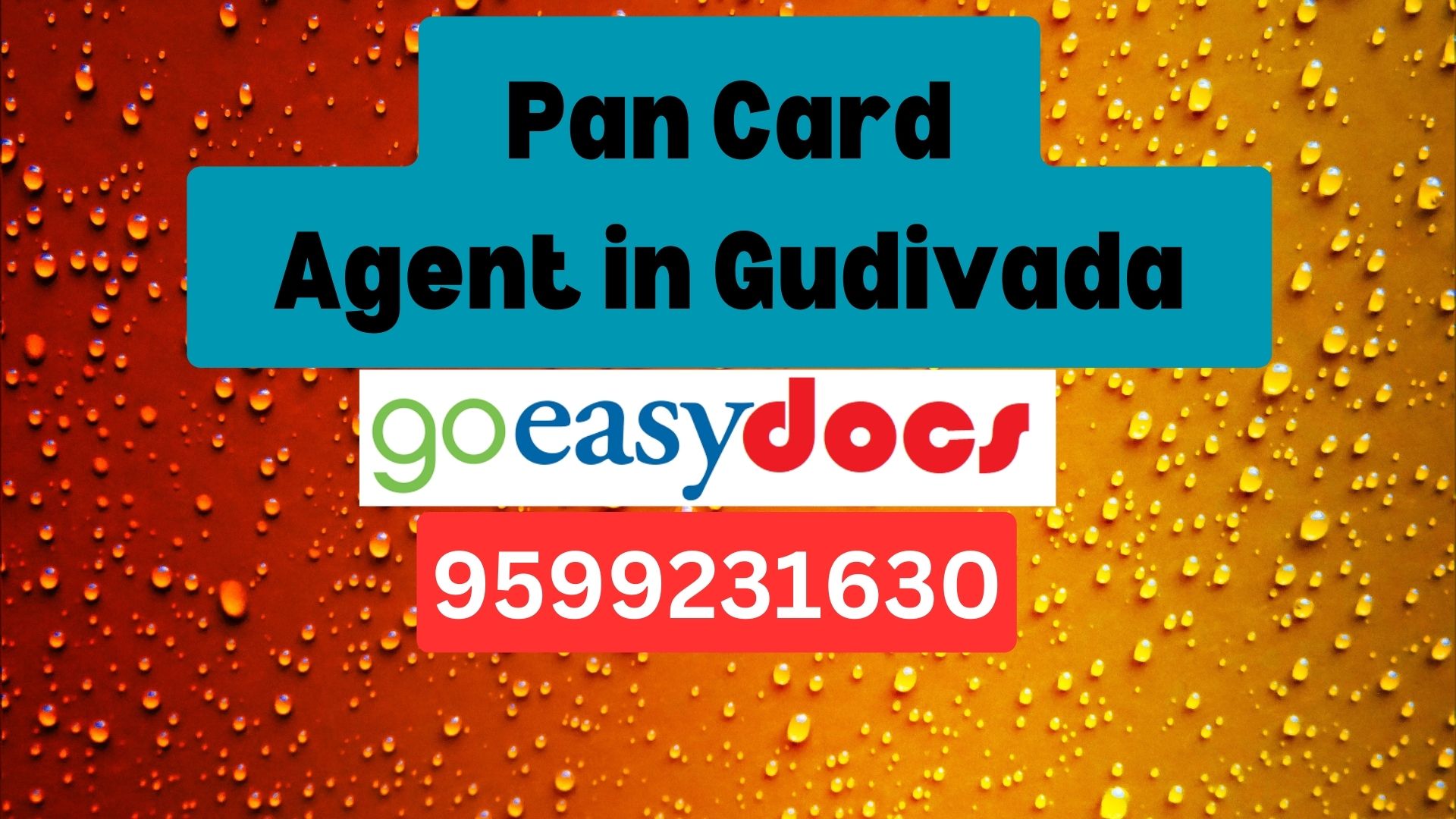 Pan Card Agent Consultant in Gudivada 8851415812