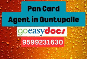 Pan Card Agent Consultant in Guntupalle 8851415812