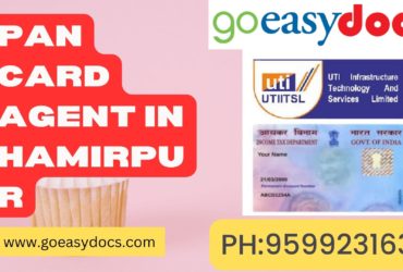 Pan Card Agent Consultant in Hamirpur 8851415812