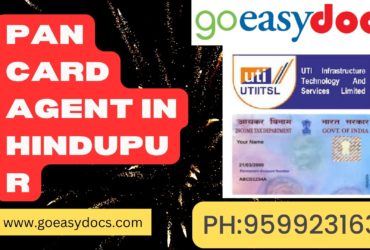 Pan Card Agent Consultant in Hindupur 8851415812