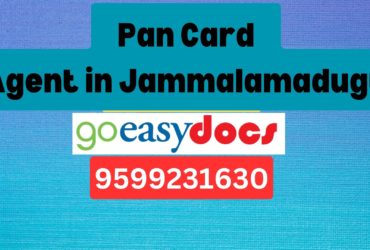 Pan Card Agent Consultant in Jammalamadugu  8851415812